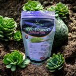 photo_2024-08-21_11-28-57