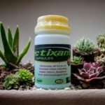 photo_2024-08-21_11-29-20